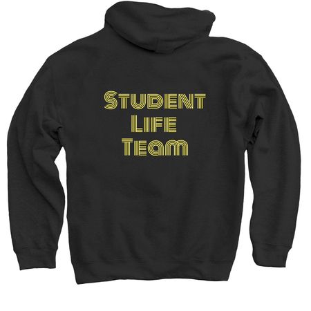 DORM vibe, a Black Pullover Hoodie (back-view)