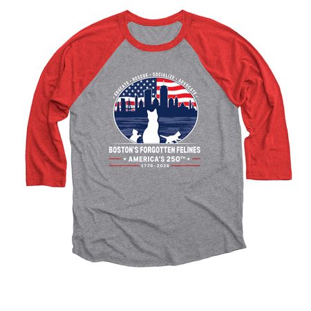 America's 250th Birthday (Dark Colors), a Red and Premium Heather 3/4 Sleeve Baseball Tee