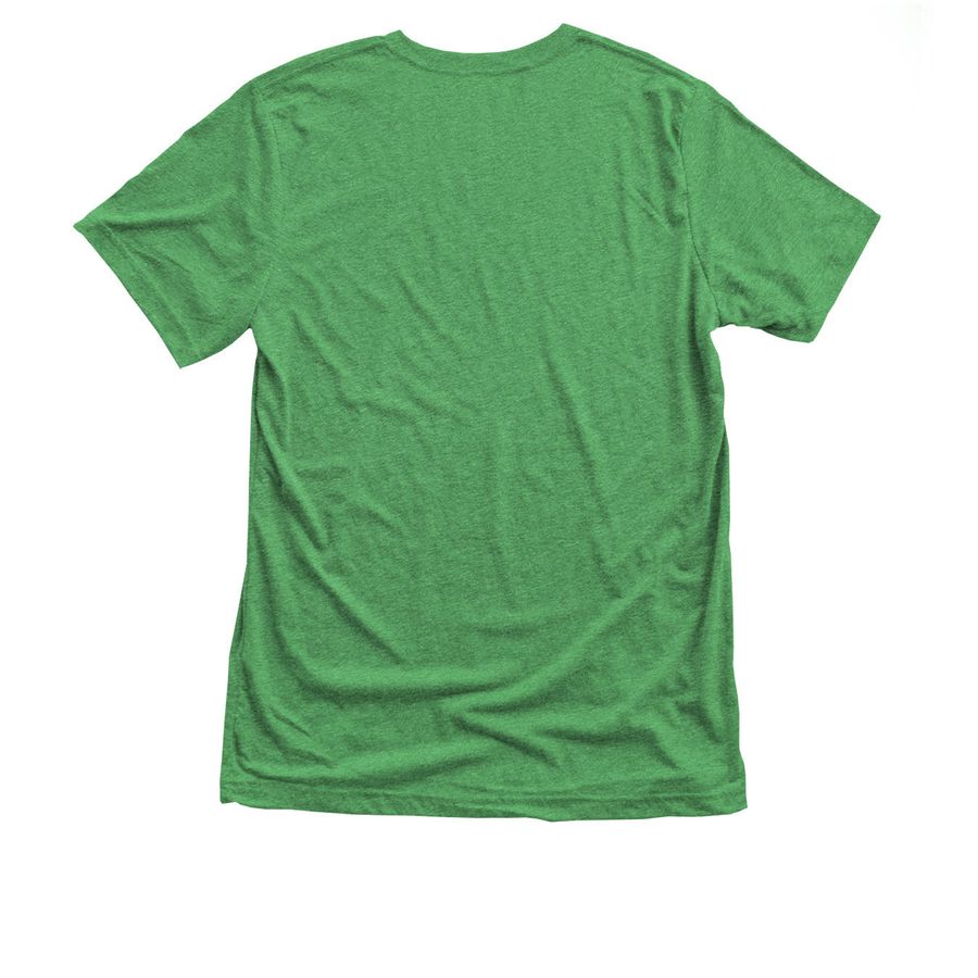 Nothing Matters More, a Envy Triblend Unisex Tee (back-view)