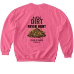 2026 Shirts, a Pink Lemonade Softstyle Crewneck Sweatshirt (back-view)