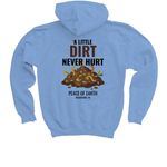 2026 Shirts, a Carolina Blue Youth Pullover Hoodie (back-view)