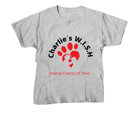 Charlie's W.I.S.H. Campaign, a Sport Grey Youth Unisex Tee