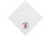 Unshakeable Bandana, a White Cotton Bandana