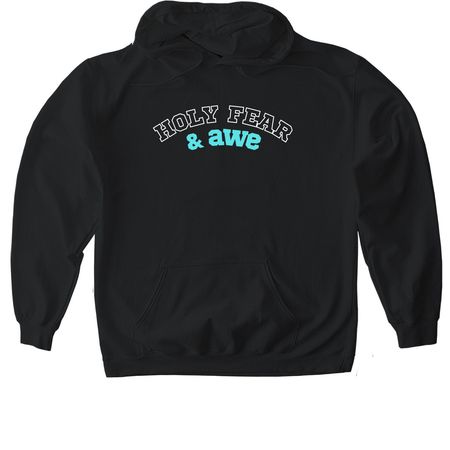 Holy Fear & Awe, a Black Gildan Softstyle Pullover Hoodie