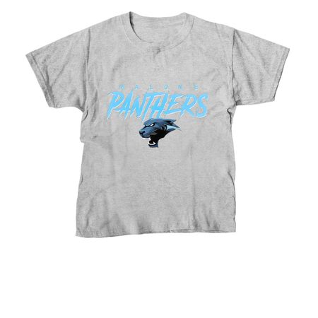 Malone Panthers Athletics, a Sport Grey Youth Unisex Tee
