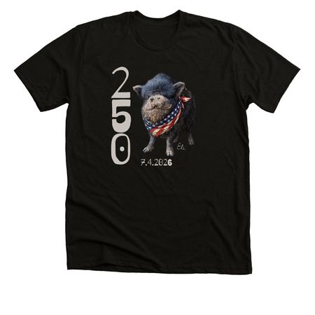 America250MPFL, a Black Heather Premium Unisex Tee
