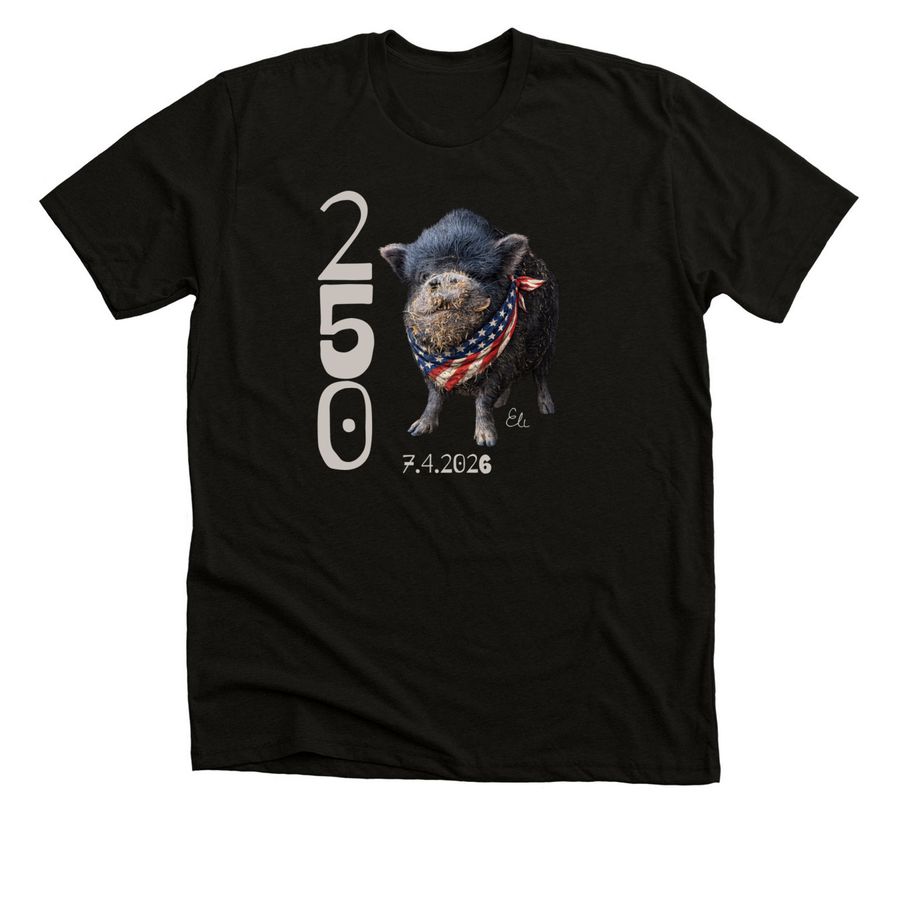 America250MPFL, a Black Heather Premium Unisex Tee