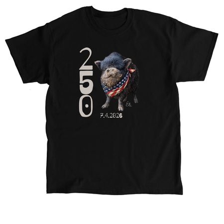 America250MPFL, a Black Classic Unisex Tee