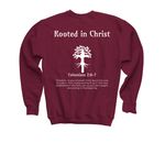 Rooted in Christ, a Maroon Youth Crewneck Sweatshirt (back-view)