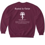 Rooted in Christ, a Maroon Softstyle Crewneck Sweatshirt (back-view)