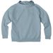 Bird City Stillwater - Long Sleeves, a I Like You Blue Allmade Organic CVC Pullover Hoodie (back-view)