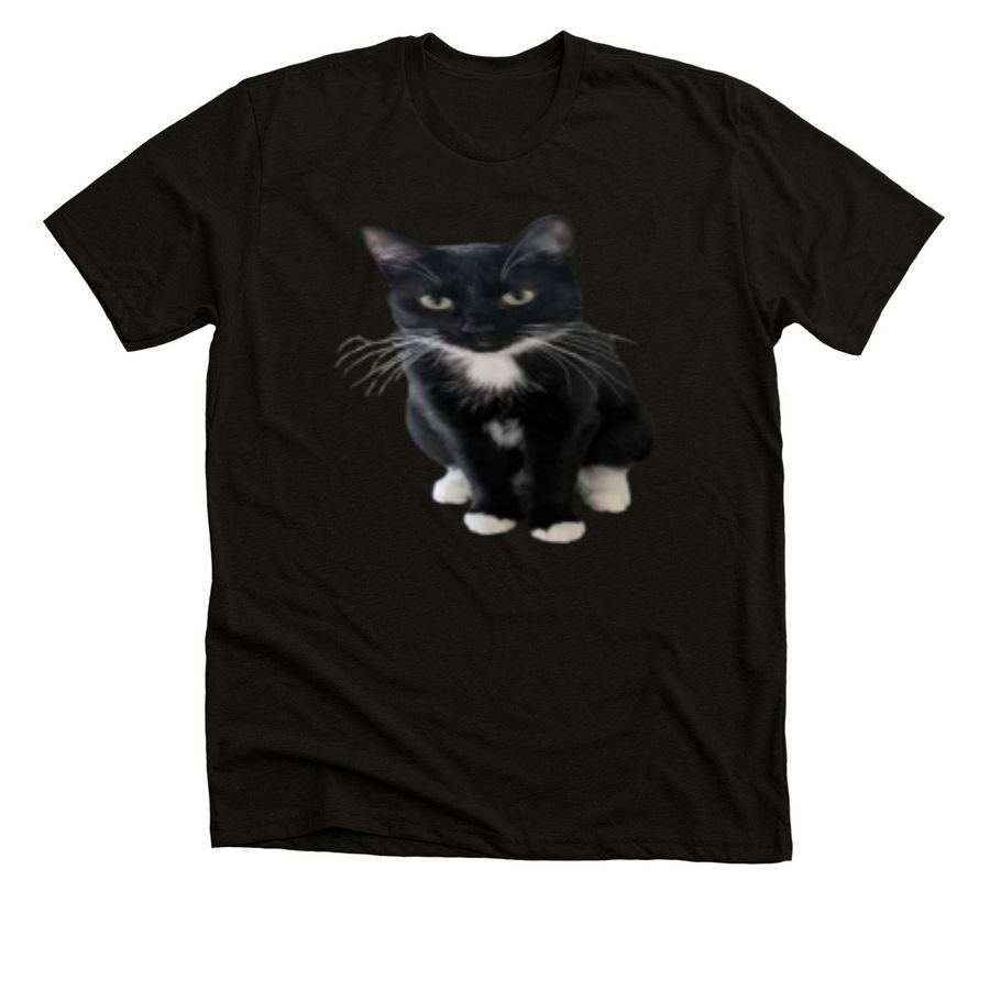 The Ruffles Collection, a Solid Black Blend Premium Unisex Tee