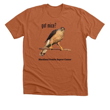 got mice?, a Heather Autumn Premium Unisex Tee