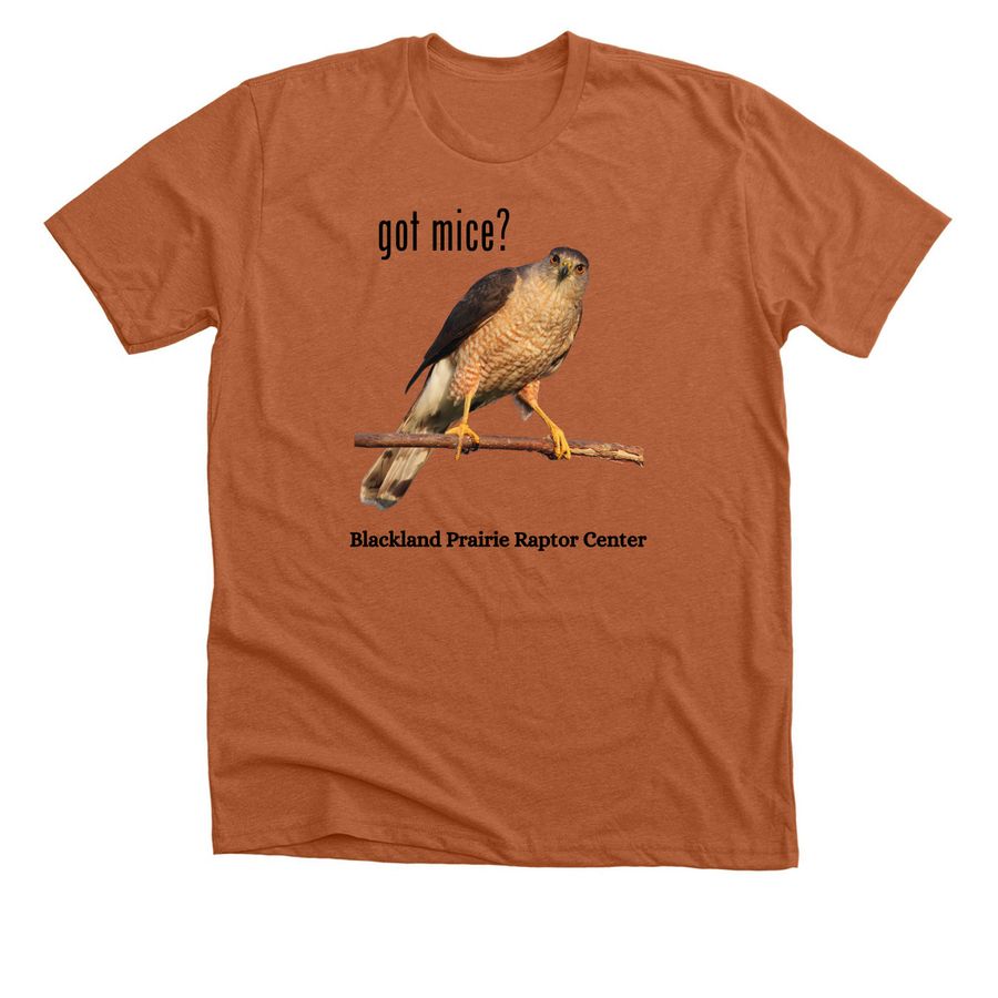 got mice?, a Heather Autumn Premium Unisex Tee
