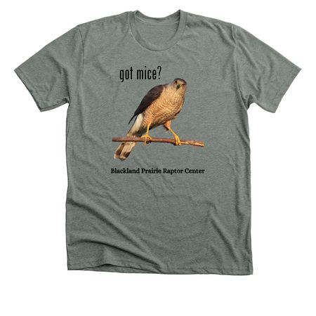 got mice?, a Deep Heather Premium Unisex Tee