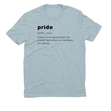 Pride Definition, a I Like You Blue Allmade Eco Triblend Unisex Tee