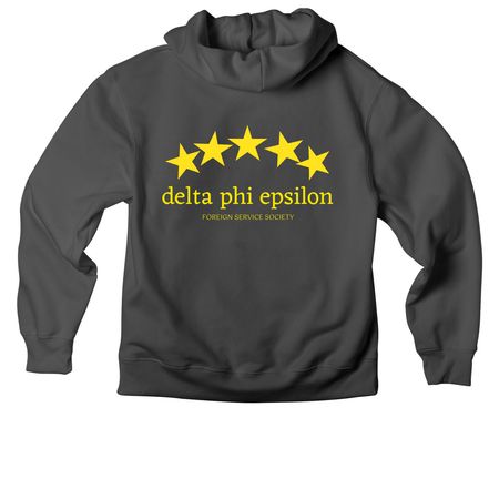 DPE Sweatshirt&nbsp;, a Asphalt Premium Heavyweight Pullover Hoodie (back-view)