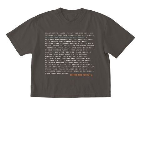 Defend Bird Habitat, a Pepper Comfort Colors Boxy Tee
