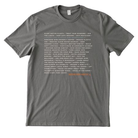 Defend Bird Habitat, a Ash Grey Allmade Heavyweight Recycled Cotton Tee