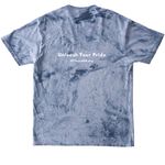 Celebrate Pride - Rainbow Dog & Cat, a Ocean Comfort Colors Colorblast Tee (back-view)