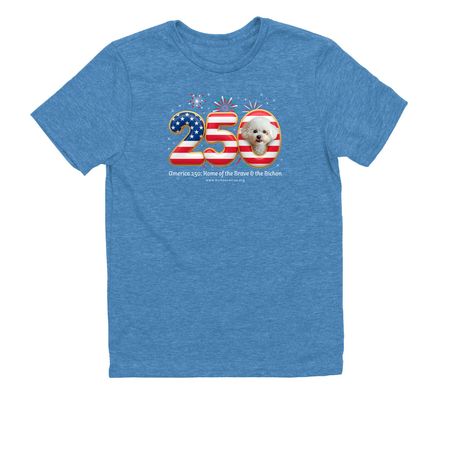 America 250: Home of the Brave & the Bichon, a Azure Blue Allmade Youth Eco Triblend Tee
