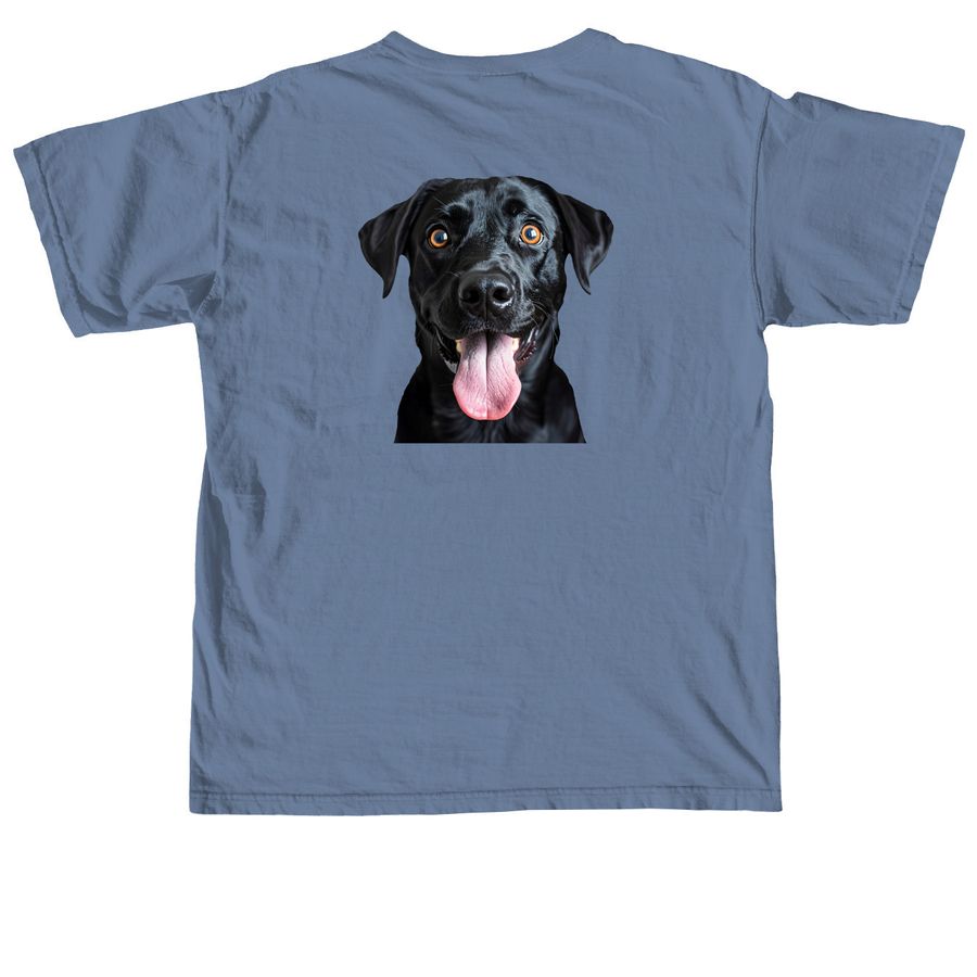 Derp Mode Activated - Black Lab 1, a Blue Jean Comfort Colors Unisex Tee