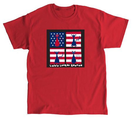 American Flag Logo, a Red Classic Unisex Tee
