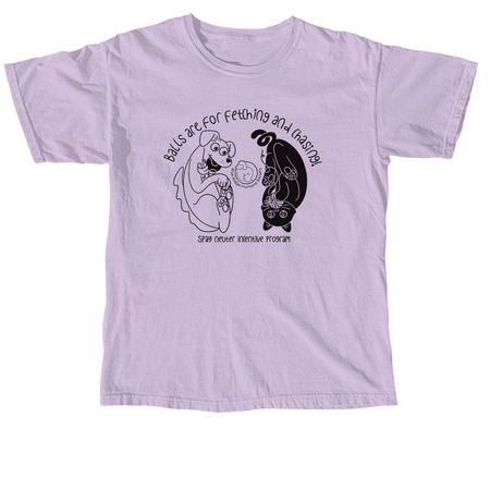 Balls Are for Fetching and Chasing (Light), a Orchid Comfort Colors Unisex Tee