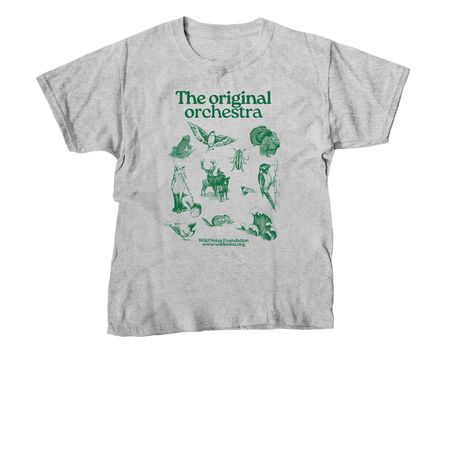The original orchestra., a Sport Grey Youth Unisex Tee