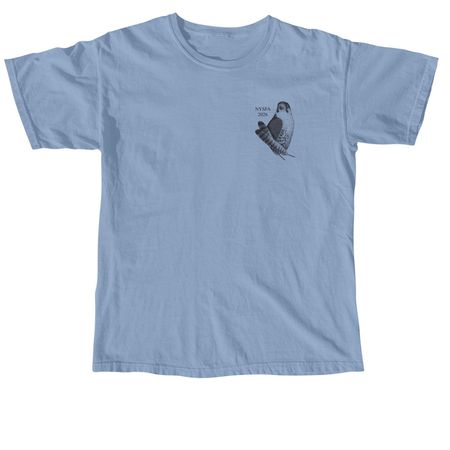NYSFA Annual Field Meet 2026, a Washed Denim Comfort Colors Youth Tee