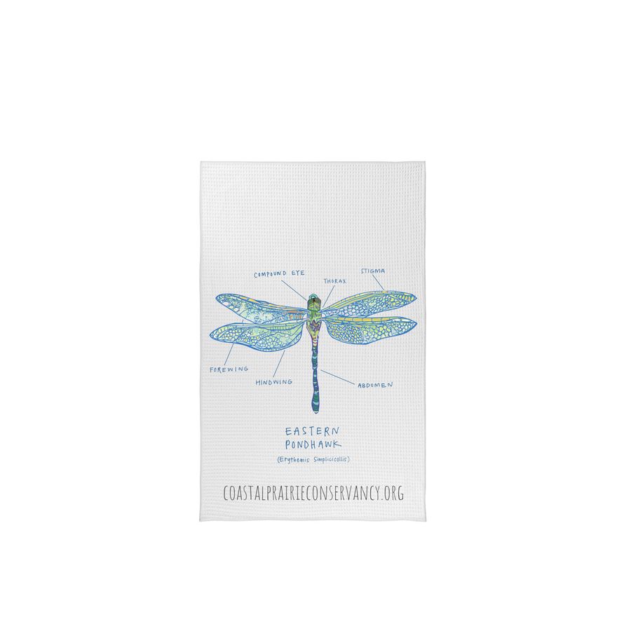 Limited Edition: Dragonfly Diagram, a White Tea Towel
