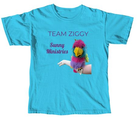 Team Ziggy, a Lagoon Blue Comfort Colors Unisex Tee