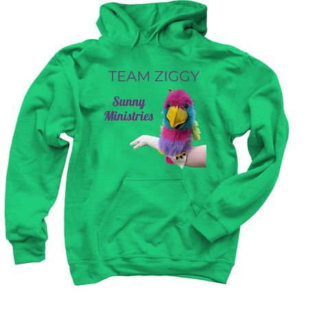 Team Ziggy, a Irish Green Pullover Hoodie