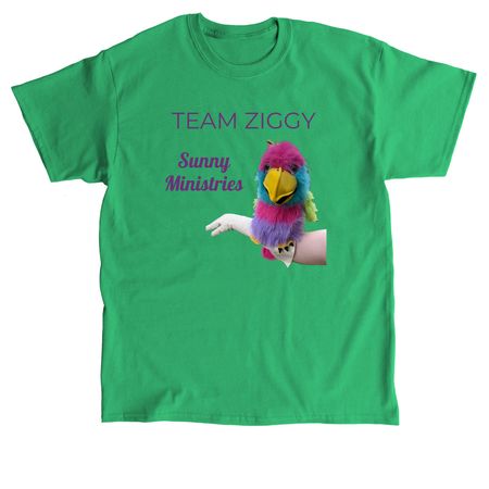 Team Ziggy, a Irish Green Classic Unisex Tee