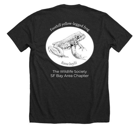 TWS Foothill yellow-legged frog, a Dark Grey Heather Premium Unisex Tee (back-view)