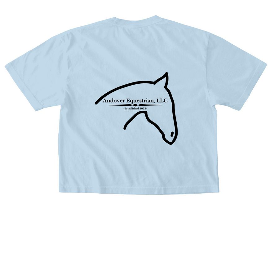 Saddle Up for Sunshine, a Chambray Comfort Colors Boxy Tee (back-view)