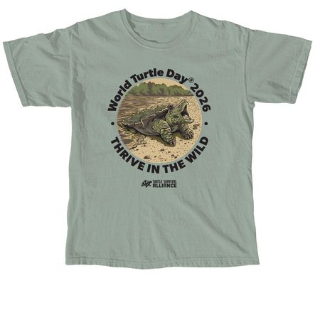 World Turtle Day? 2026, a Bay Comfort Colors Unisex Tee