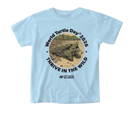 World Turtle Day? 2026, a Chambray Comfort Colors Youth Tee