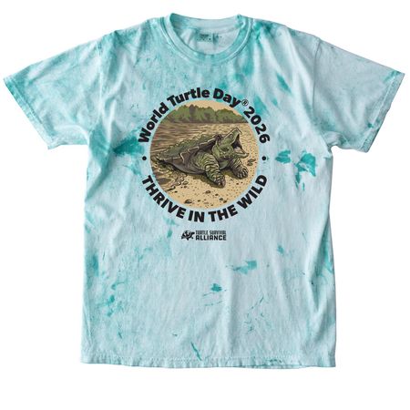 World Turtle Day? 2026, a Sea Glass Comfort Colors Colorblast Tee