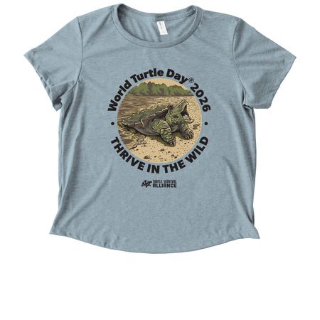 World Turtle Day? 2026, a I Like You Blue Allmade Eco Triblend Women?s Scoop Neck Tee