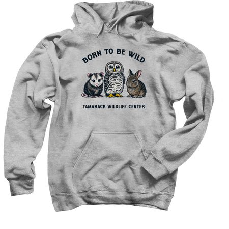 Tamarack Wildlife Center, a Sport Grey Pullover Hoodie