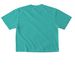 Pug Prom 2026, a Chalky Mint Comfort Colors Boxy Tee (back-view)