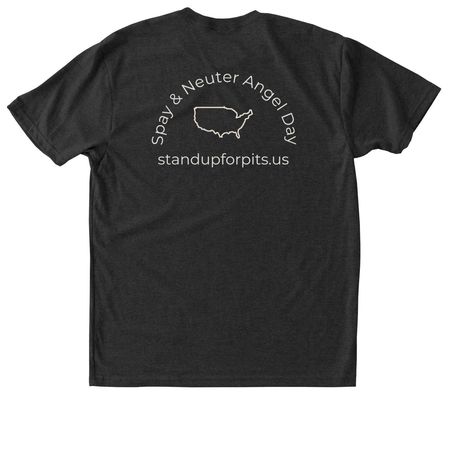 Spay & Neuter Angel Day 2026, a Vintage Black Triblend Unisex Tee (back-view)