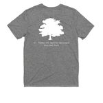 Summer 2026, a Aluminum Grey Allmade Youth Eco Triblend Tee (back-view)
