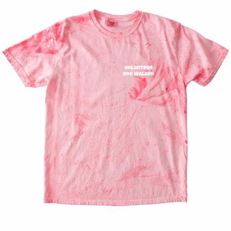 Shelter volunter dog walker, a Hibiscus Comfort Colors Colorblast Tee