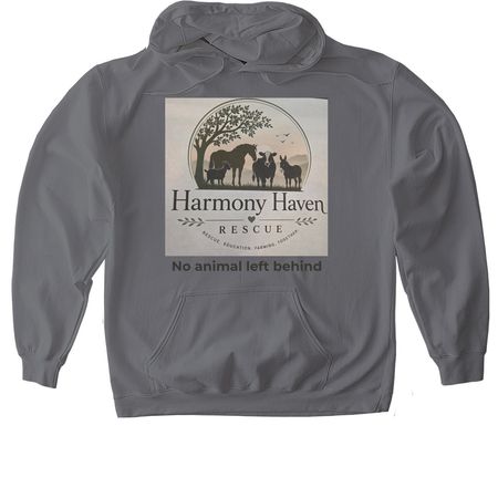 nonprofit animal rescue fundraiser, a Charcoal Gildan Softstyle Pullover Hoodie
