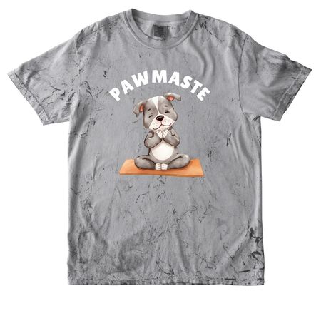PAWMASTE, a Smoke Comfort Colors Colorblast Tee