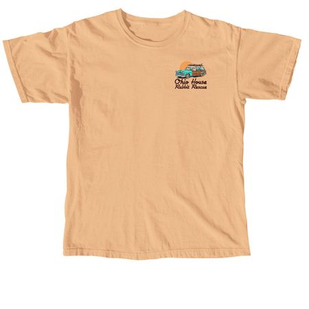 Beach Bunny Vibes, a Neon Cantaloupe Comfort Colors Unisex Tee
