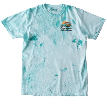 Beach Bunny Vibes, a Sea Glass Comfort Colors Colorblast Tee