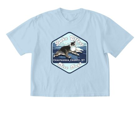 Lake Effect Disc Dogs, a Chambray Comfort Colors Boxy Tee